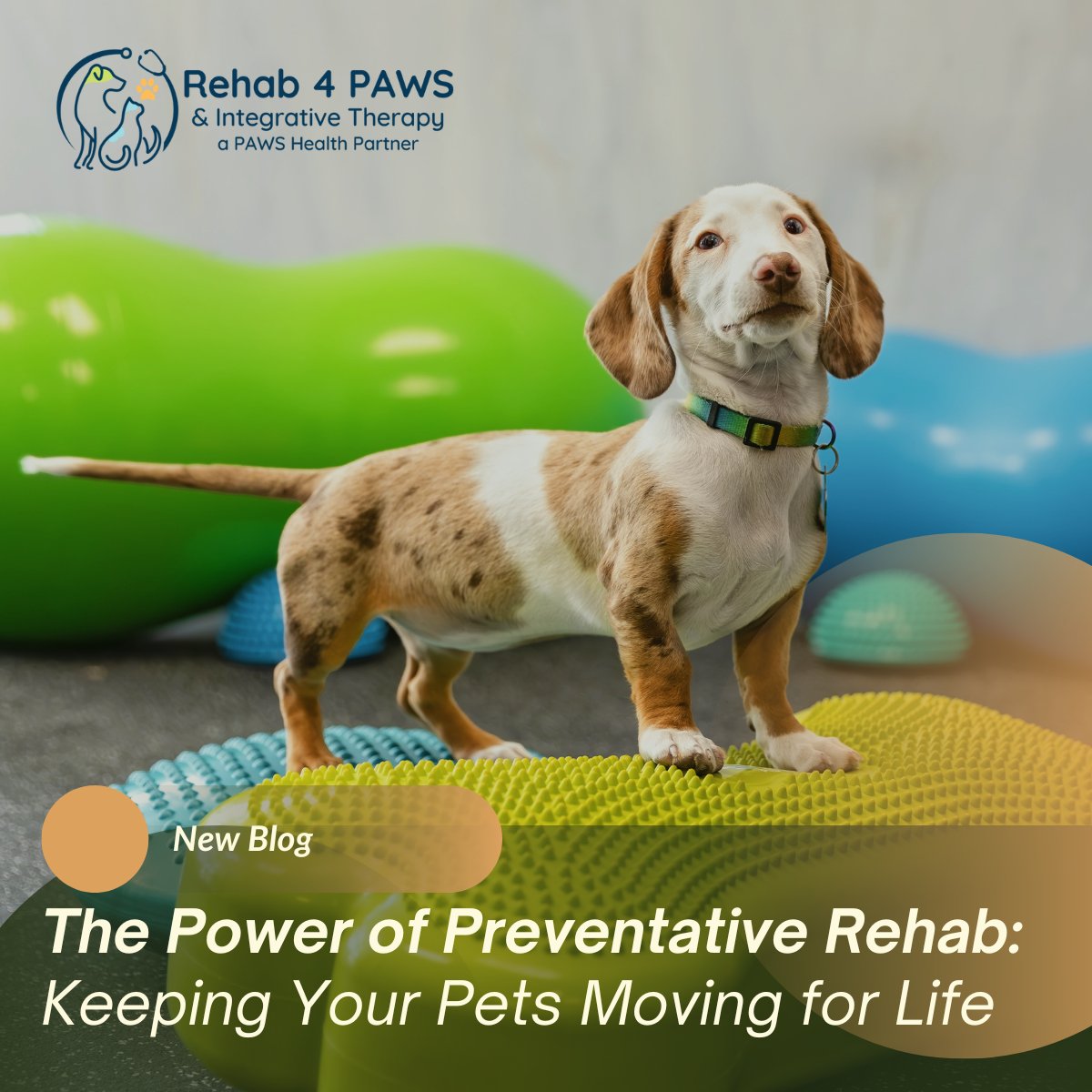 R4P Blog – Preventative Rehab (1)